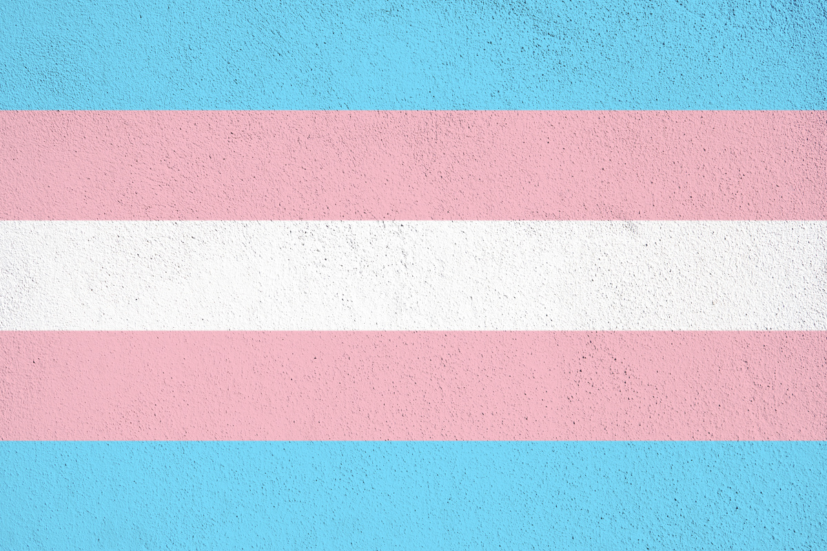 Transgender Flag Painted on Wall    
